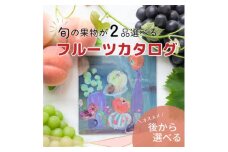 山梨の旬を味わう!選べるプレミアムギフトカタログ＜※2品選べる＞【1203758】