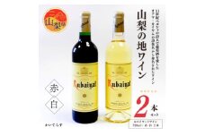 山梨の地ワイン2本セット(丸藤葡萄酒工業　赤白)【1204336】