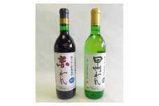 山梨の地ワイン2本セット(蒼龍葡萄酒　赤白)【1205217】