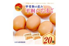甲斐駒の恵み・着色料無添加の平飼いたまご20個【1226019】