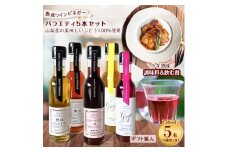 ＜蔵元直送＞プロ御用達!ワインビネガー・バラエティ5本セット＜調味料&飲む酢＞ 世界農業遺産認定地域【1230946】