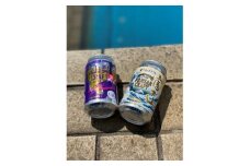 ＜THE YAMANASHI BEER＞富士山クラフト&山梨クラフト　6本セット【1237726】