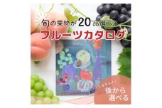 山梨の旬を堪能!あとから選べるプレミアムギフトカタログ＜30万円コース＞フルーツ シャインマスカット【1279322】