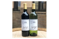 山梨県よりお届け「蒼龍葡萄酒」の定番ワイン赤白2本セット(720ml×2本)【1312547】
