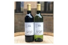 山梨県よりお届け「蒼龍葡萄酒」の定番ワイン赤白2本セット(720ml×2本)【1312547】