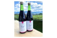 お酢のイメージを変える!ドリンクビネガーぶどう 2本セット ー飲むワインビネガー(飲む酢)-【1336547】