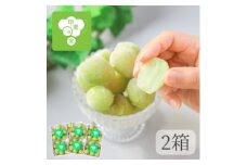 ＜2025年＞冷凍シャインマスカット 『甲斐の実』 山梨県産ぶどう400g×2箱【1381447】