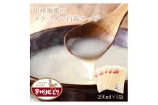 旨味が凝縮!希少な甲州地どりコラーゲンスープ 250ml×5袋 山梨ブランド地鶏の濃厚白湯【1387200】