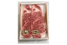 ＜甲州牛＞ロースステーキ(180g×2枚)・肩ローススライス(500g)【1408160】