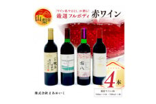 「ワイン県やまなし」が贈る!個性異なるフルボディ赤ワイン4本セット(720ml×1、750ml×3)【1430445】