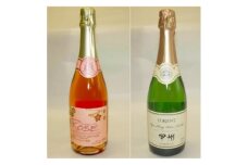 ＜後継品がございます＞＜受付終了＞山梨県産スパークリングワイン2本セット(ロゼ・甲州)【1202641】