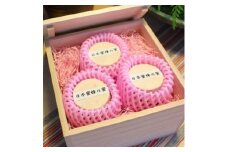 あじわい百花蜜 日本蜜蜂の蜜 桐箱詰合せ贈答セット【1295244】