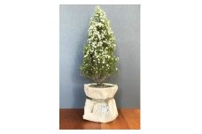 クリスマスエリカ 5号鉢(スズランエリカ)観葉植物、卓上ミニツリー、テーブルツリー、冬の贈り物に【1274916】