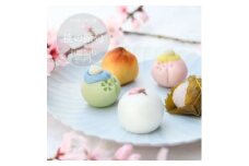 ＜桃の節句＞ひな祭りの上生菓子(練り切り) 10個詰め 和菓子詰め合わせ 皇室献上菓匠三省堂 和菓子【1378839】