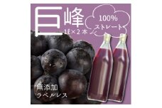 ＜巨峰ジュース＞葡萄の産地から巨峰100%ストレートぶどうジュース1L×2本【1463271】