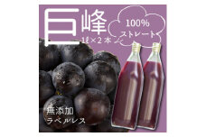＜巨峰ジュース＞葡萄の産地から巨峰100%ストレートぶどうジュース1L×2本【1463271】
