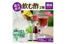 お酢のイメージを変える!ドリンクビネガー2種6本セット〈濃縮タイプ飲む酢/山梨産ワインビネガー使用〉【1488886】