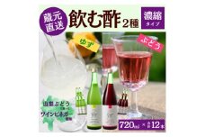 お酢のイメージを変える!ドリンクビネガー2種12本セット〈濃縮タイプ飲む酢/山梨産ビネガー使用〉【1488893】