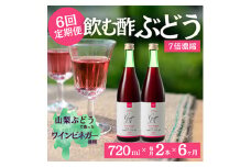 ＜毎月定期便＞飲む酢のイメージを変える!ドリンクビネガーぶどう《7倍濃縮》720ml×2本全6回【4012322】