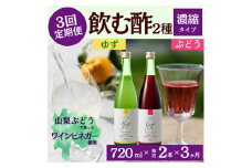 ＜毎月定期便＞飲む酢のイメージを変える!ドリンクビネガー2種《濃縮タイプ》720ml×2本全3回【4012323】