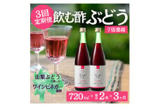 ＜毎月定期便＞飲む酢のイメージを変える!ドリンクビネガーぶどう《7倍濃縮》720ml×2本全3回【4012324】