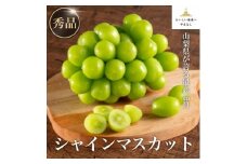 ＜秀品・JA全農やまなし＞山梨県産シャインマスカット 2房(約1.2kg)【1491127】