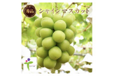 ＜JAフルーツ山梨＞山梨県産ハウスシャインマスカット　1房＜秀品＞【1496649】