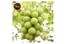 ＜JAフルーツ山梨＞山梨県産シャインマスカット　3房＜秀品＞【1496661】