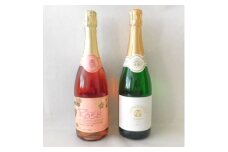 山梨県産スパークリングワイン2本セット(ロゼ、ヴァン・ムスー甲州)【1498520】