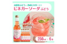 山梨産ぶどう100%の熟成ビネガーで造った!そのまま飲める＜ビネガーソーダぶどう6本セット＞【1537854】