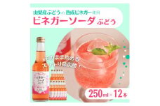 山梨産ぶどう100%の熟成ビネガーで造った!そのまま飲める＜ビネガーソーダぶどう12本セット＞【1537862】