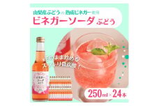 山梨産ぶどう100%の熟成ビネガーで造った!そのまま飲める＜ビネガーソーダぶどう24本セット＞【1537865】
