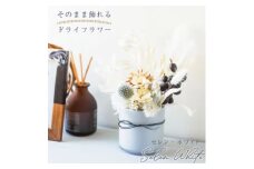 ドライフラワー「セレンホワイト」そのまま飾れる  おしゃれ シンプルで美しいアレンジ【1517020】