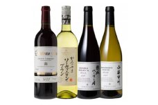山梨県産ワイン　品種別4本セット　001【1558138】