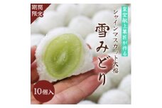＜先行受付＞シャインマスカットが丸ごと1粒入った　ぶどう大福「雪みどり」10個【1203883】