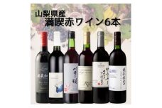 山梨県産ワイン満喫赤6本セット(3)004【1606780】