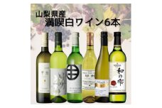 山梨県産ワイン満喫白6本セット(3)007【1606801】