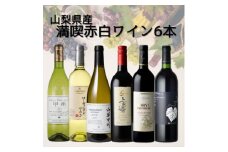 山梨県産ワインおすすめ赤白6本セット(4)011【1606820】