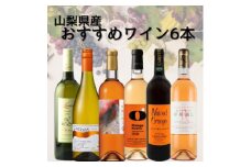 山梨県産オレンジワイン6本セット　012【1606823】
