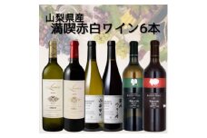 おすすめワイナリー赤白6本セット　019【1610205】