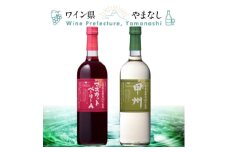 盛田甲州ワイナリー シャンモリ山梨県産葡萄 2本セット【1607395】