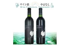山梨県作出ブドウ 甲斐ノワール&ヤマ・ソービニオン 2本セット【1607456】