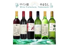 これぞ山梨 「GI山梨」認証ワイン 6本セット【1607485】