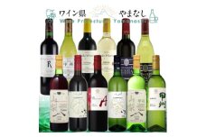 山梨ワイン 至極の12本セット【1607490】