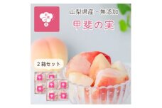 冷凍フルーツ＜甲斐の実 桃＞無添加スイーツ 山梨県産 完熟もも ヘルシー フローズン 400g×2箱【1608238】