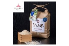 冷めても美味しい!＜令和7年産＞こぴっと米＜五百川＞白米・2kg　特別栽培米【1652042】