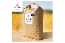 冷めても美味しい!＜令和7年産＞こぴっと米＜五百川＞白米・10kg　特別栽培米【1652044】