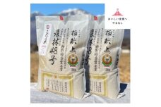 国際大会受賞歴有!＜令和7年産＞こぴっと米＜農林48号＞白米・4kg　特別栽培米【1652046】