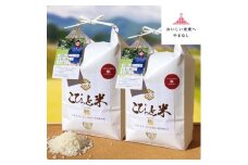きわだつ大粒!＜令和7年産＞こぴっと米＜極＞白米・4kg　特別栽培米【1652052】