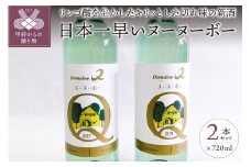 【山梨県産】日本一早いヌーヌーボー2本セット（720ml×2本）